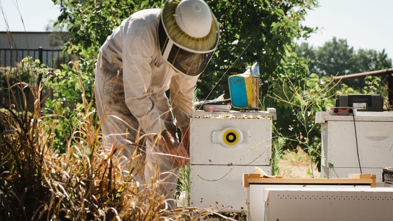 BeeHero hardware quick-mount installation in the field